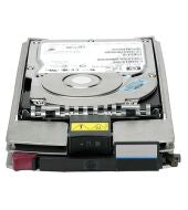 HP EVA 300GB 10K Dual-port 2 Gb FC-AL
