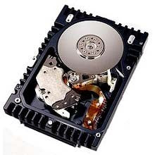 HP 250 GB, SATA, 7,200-rpm, LFF, 399969-001