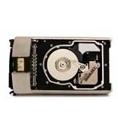 36 GB (15K rpm) U320 SCSI Drive