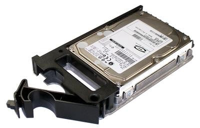 DELL 73GB SCSI Ultra320 10K RPM