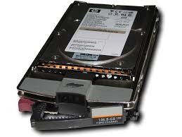 HP 300GB 10K 2GB FC HDD